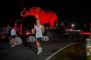 BIB: 
                            <button type="button" onclick="openModal(26551989)" class="btn btn-primary btn-sm float-right btn-popup" data-toggle="modal" data-target=".modal-high-quality">
                        <i class="fas fa-shopping-cart"></i> Add to Cart
                    </button>
                                            <button type="button" onclick="isThisMe(26551989, true)" class="btn btn-success btn-sm float-right btn-popup btn-isme hidden" data-toggle="tooltip" data-placement="bottom" title="นี่คือรูปของคุณใช่ไหม คลิกที่นี่เพื่อเอาเข้าอัลบั้ม">
                        <i class="fas fa-plus"></i> Add to album
                    </button>
                    <button type="button" onclick="isThisMe(26551989, false)" class="btn btn-warning btn-sm float-right btn-popup btn-isnotme hidden">
                        <i class="fas fa-ban"></i> Remove from album
                    </button>